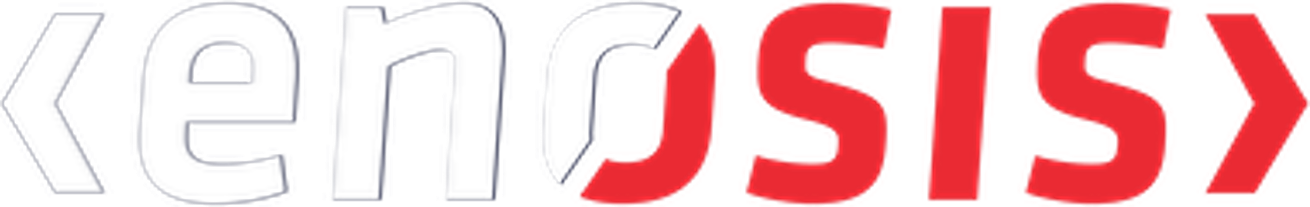 Enosis Solutions Logo